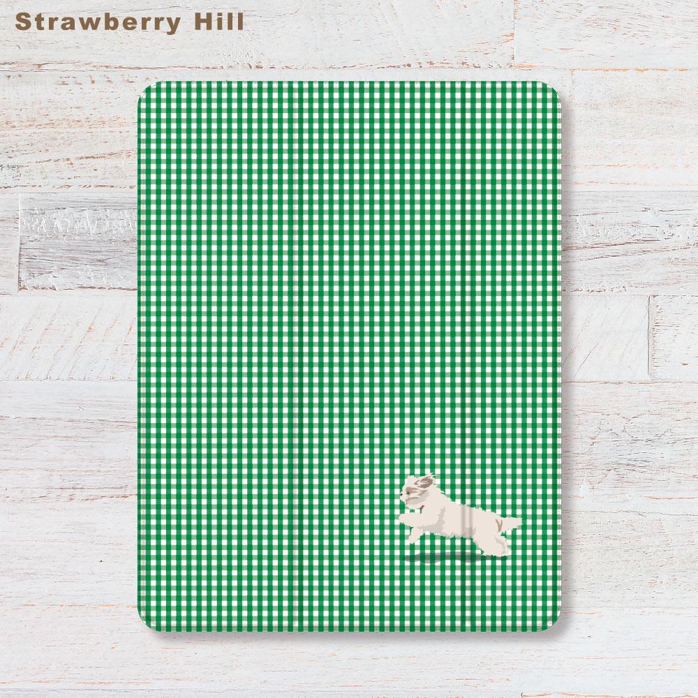 ダッシュする 犬 ✖️ ギンガムチェック  iPadケース ペン収納 軽量 背面クリア あいぱっどけーす スタンド機能1枚目の画像